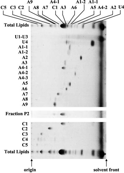 FIG. 2.