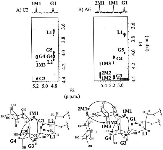 FIG. 5.