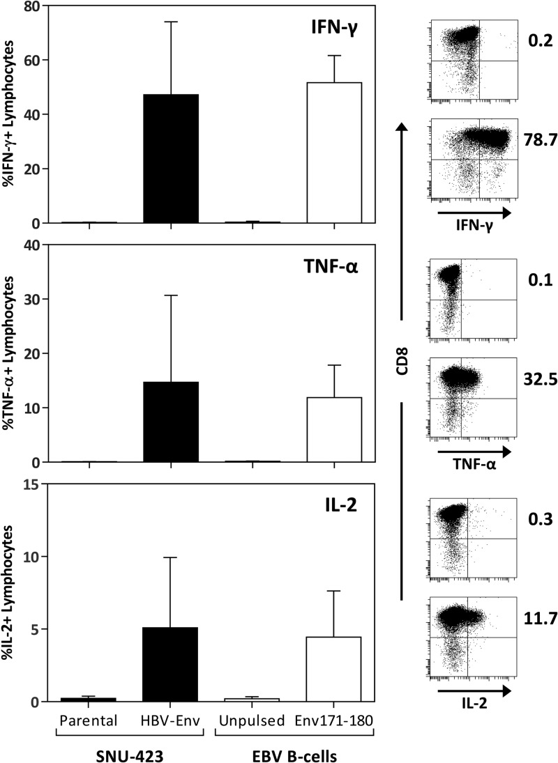 FIG 6