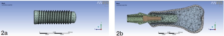 [Table/Fig-2a and 2b]