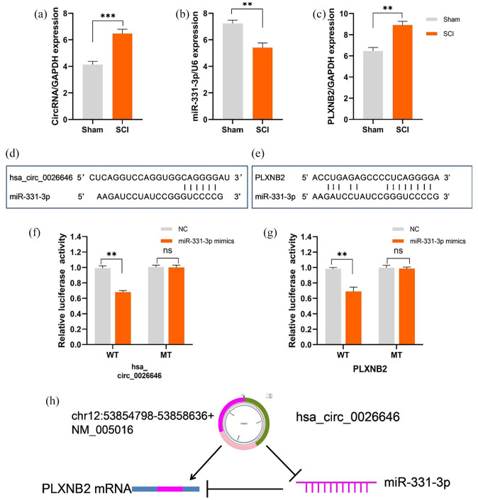 Figure 11.