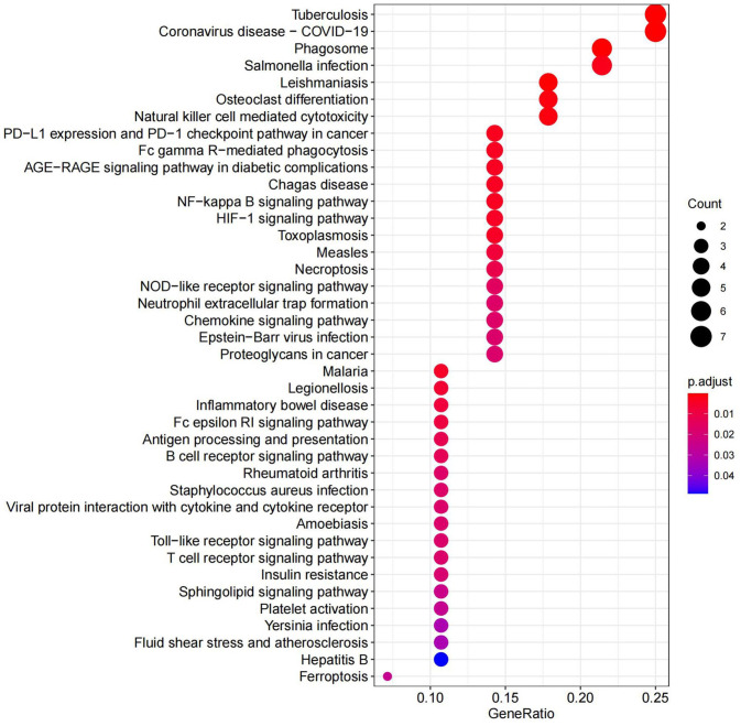 Figure 6.