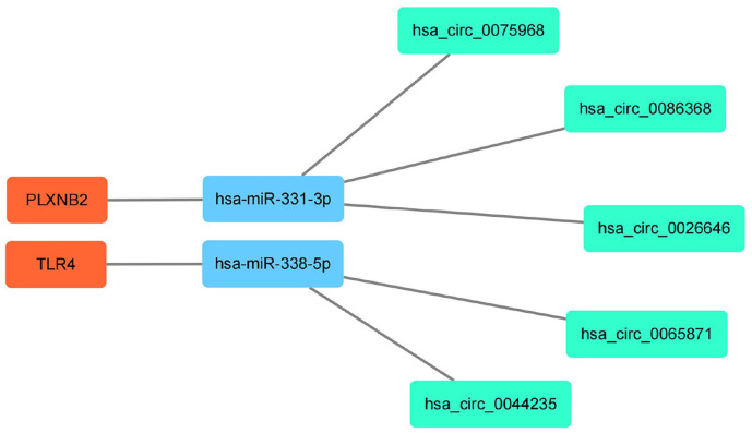 Figure 9.