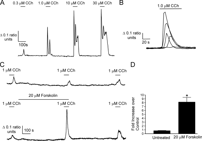 FIGURE 1.