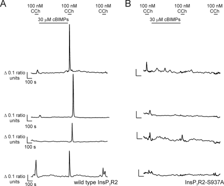 FIGURE 7.