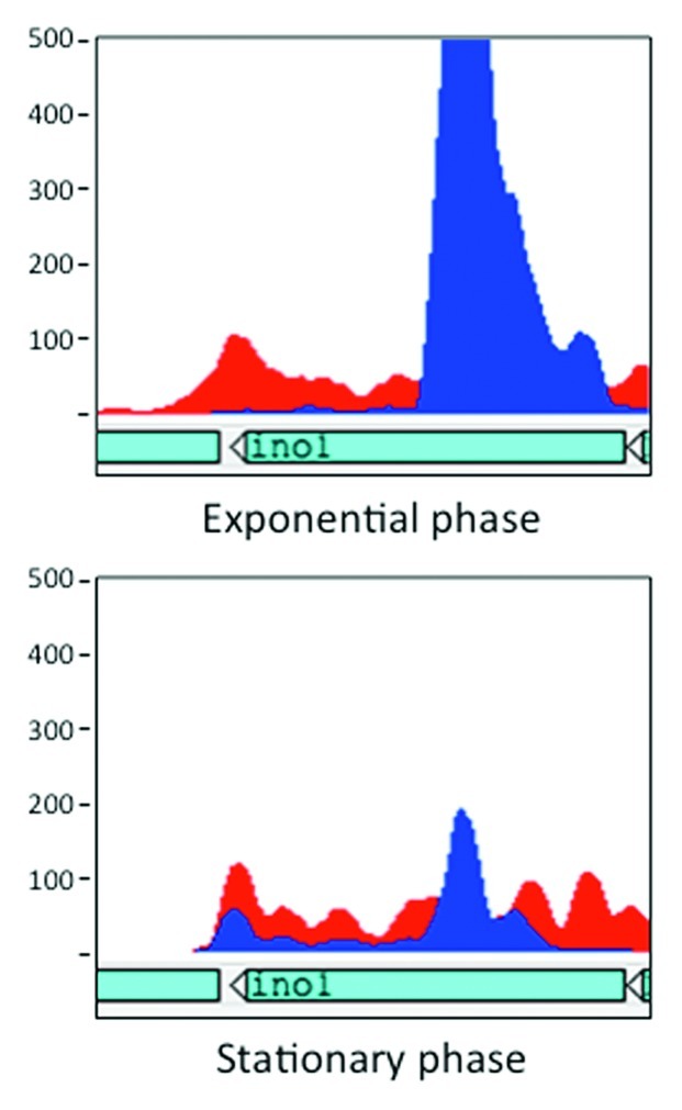 graphic file with name rna-9-427-g2.jpg