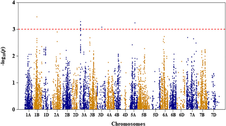 FIGURE 3