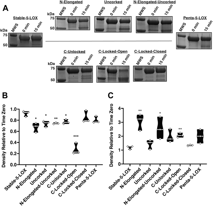 Figure 5