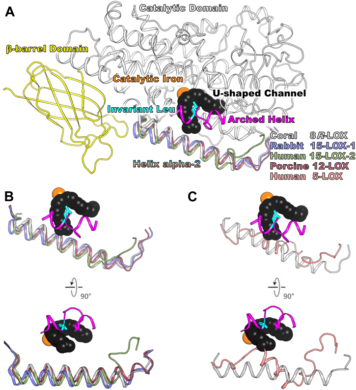 Figure 2