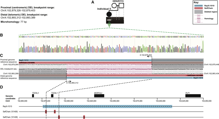 Figure 4