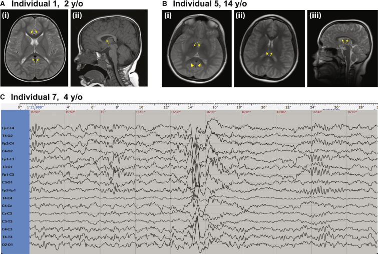 Figure 2