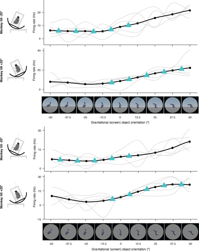 Figure 1—figure supplement 4.