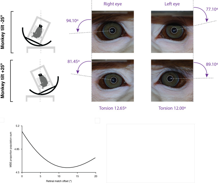 Figure 1—figure supplement 1.