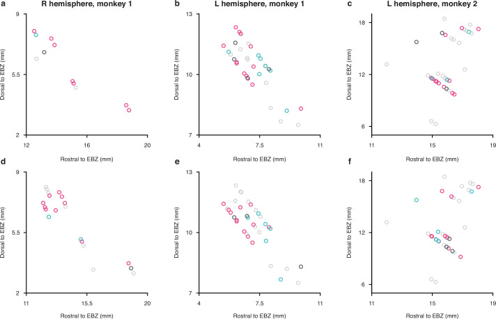 Figure 2—figure supplement 4.