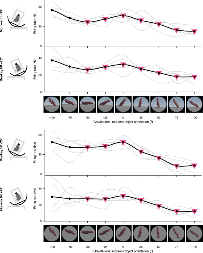 Figure 1—figure supplement 7.