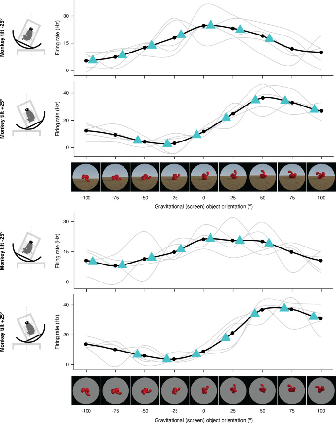 Figure 1—figure supplement 6.