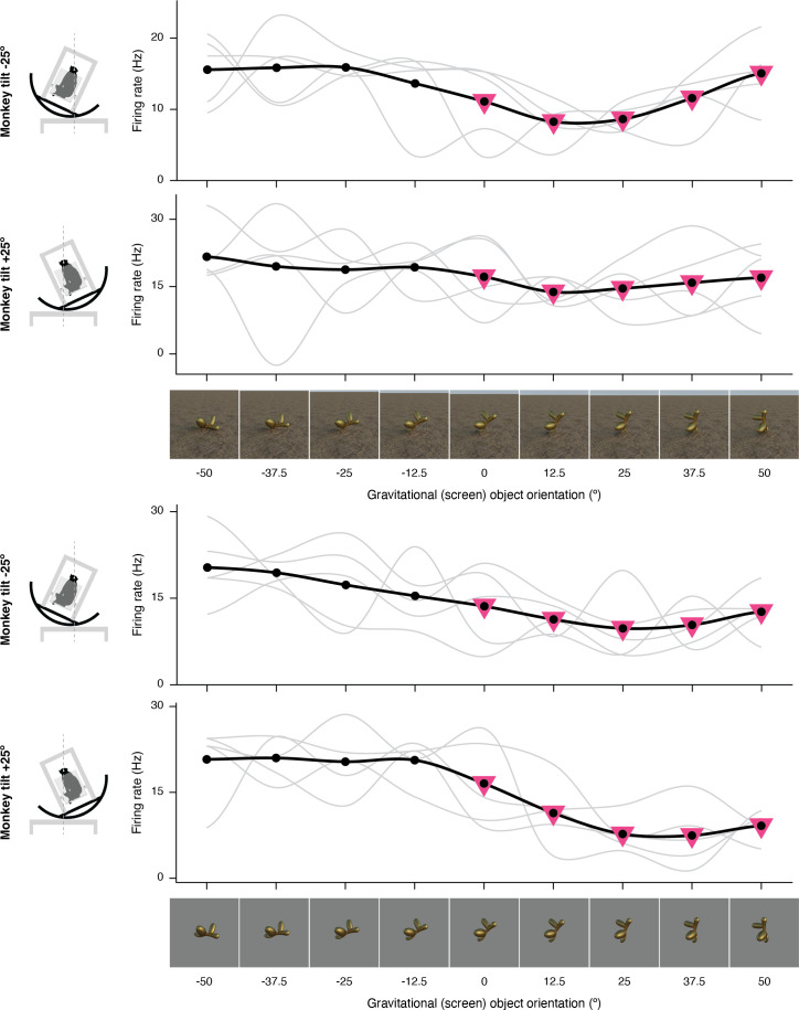 Figure 1—figure supplement 9.