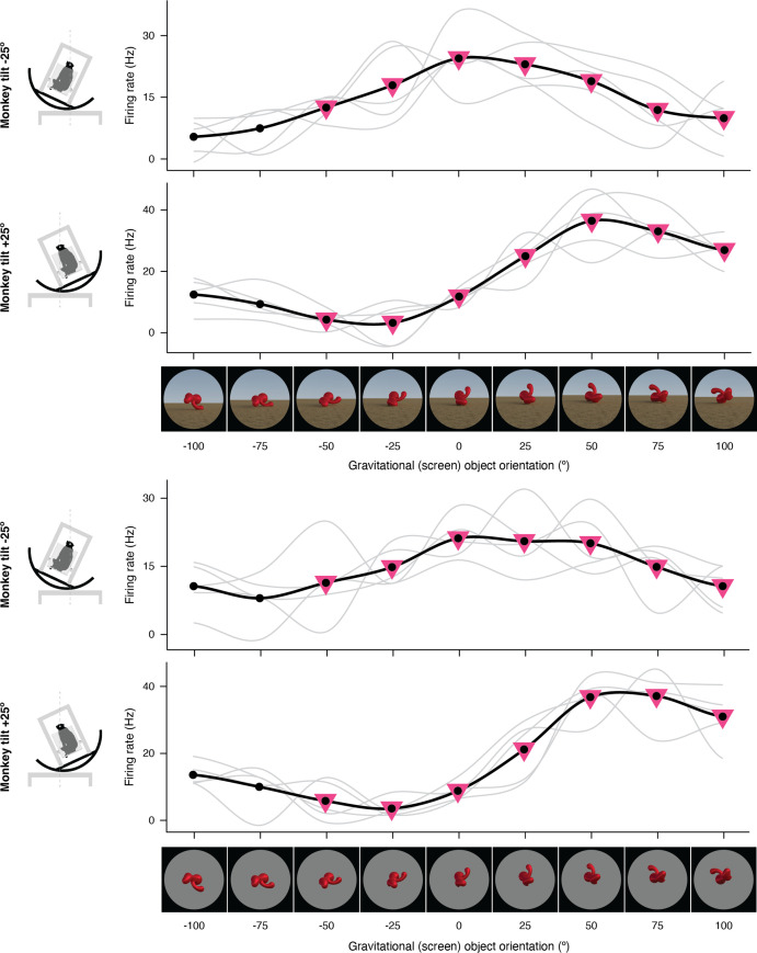 Figure 1—figure supplement 5.