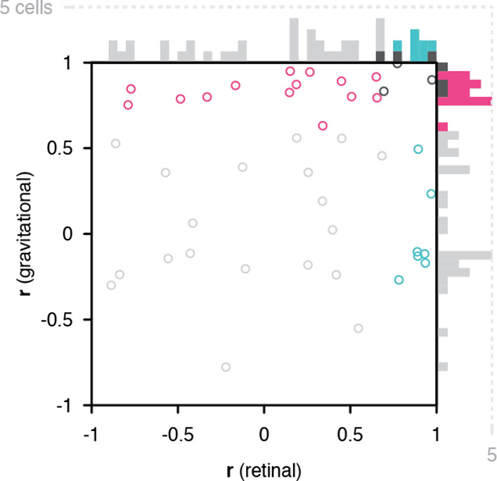 Figure 2—figure supplement 1.