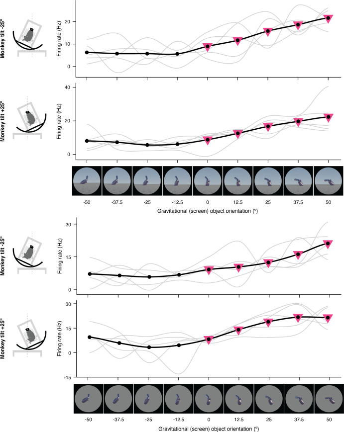 Figure 1—figure supplement 3.