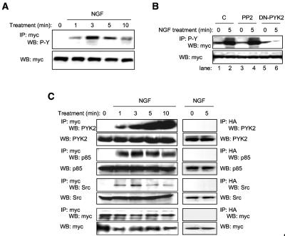 FIG. 7.