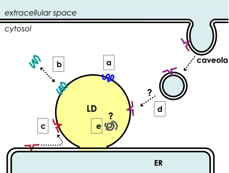 Fig. 3