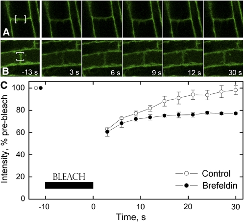 Figure 10.