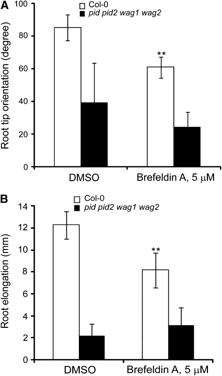 Figure 13.