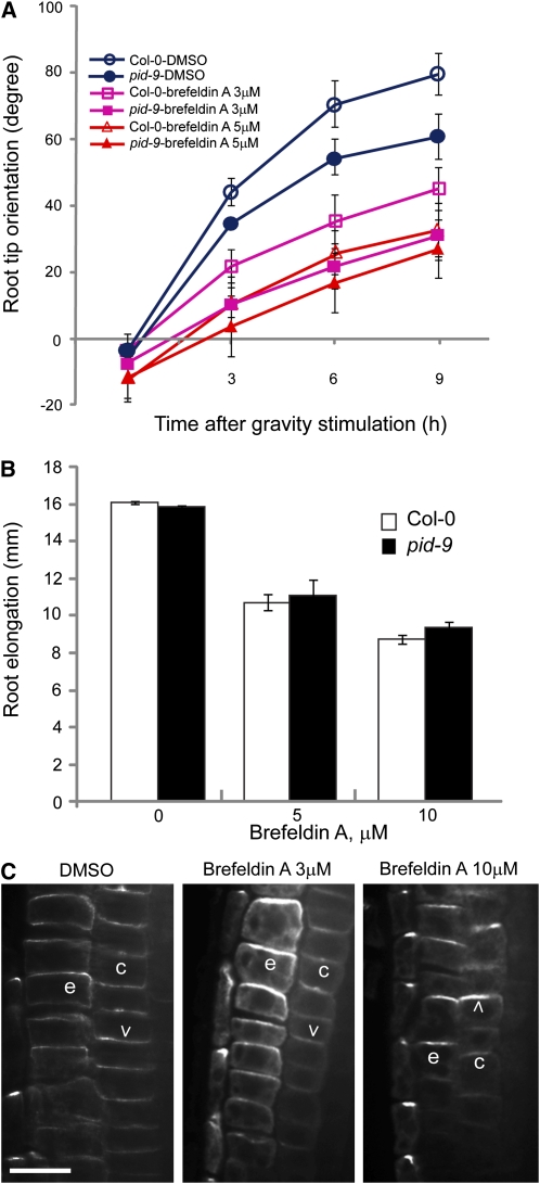 Figure 12.