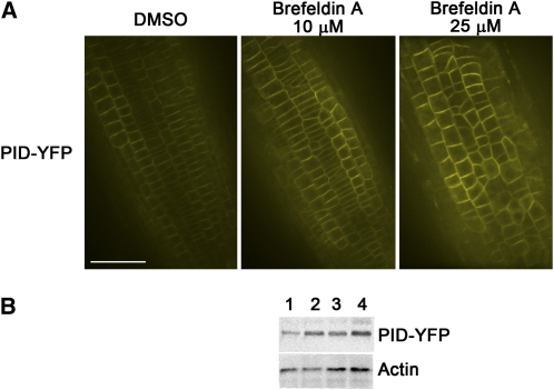 Figure 11.