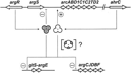 FIG. 6.