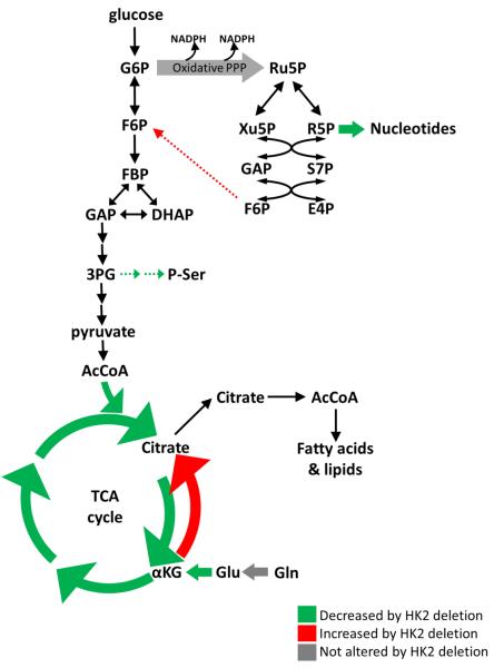 Figure 8