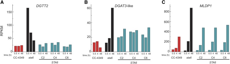 Figure 5.