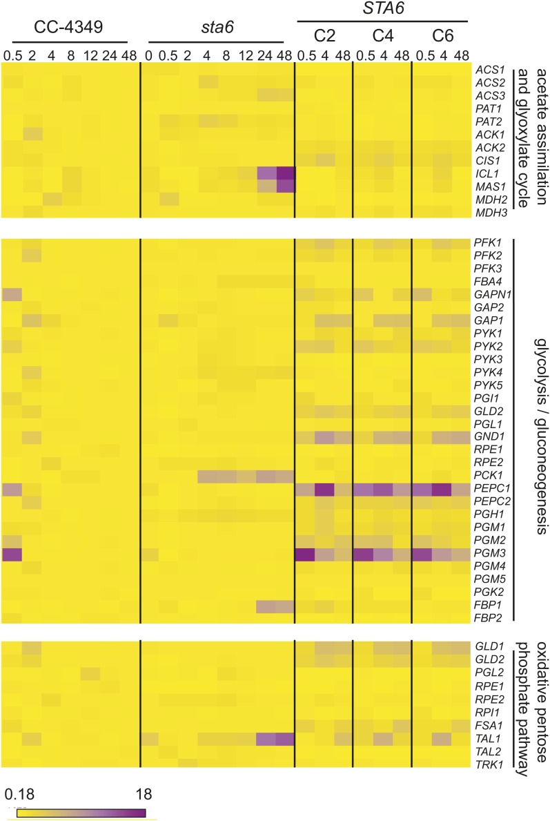 Figure 3.