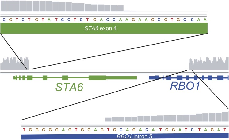 Figure 6.