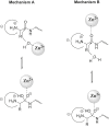 Fig. 1