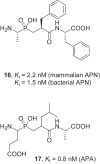 Fig. 6