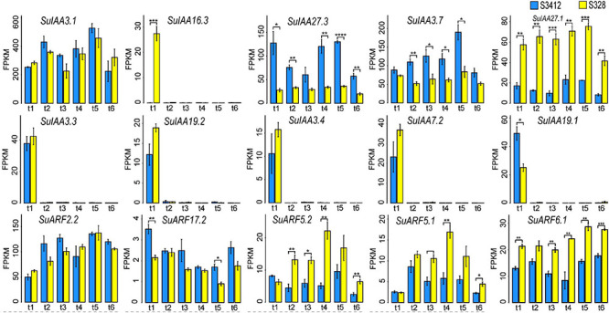 FIGURE 4