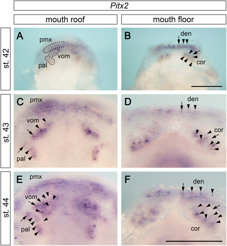 FIGURE 3