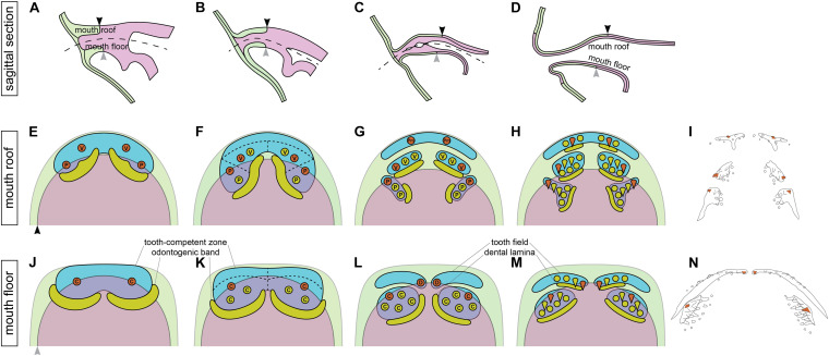 FIGURE 7