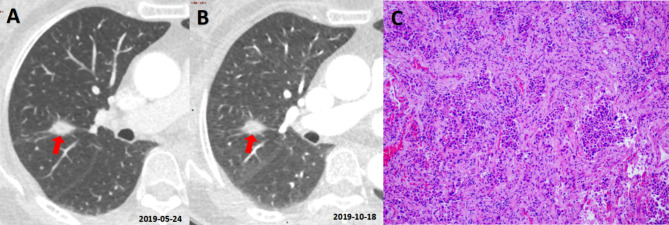 Fig. 6