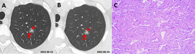 Fig. 5