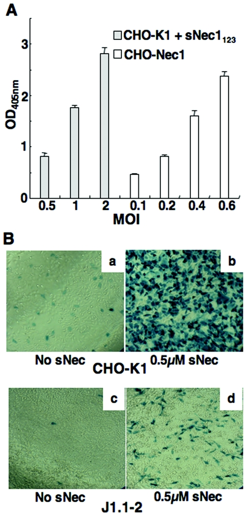 FIG. 2.