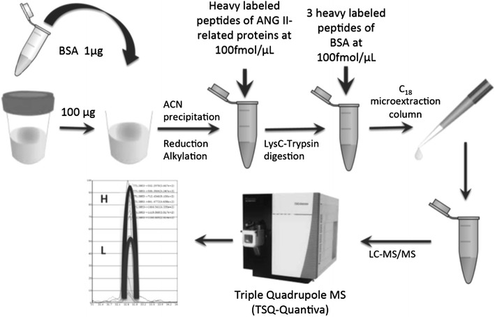 Fig. 2