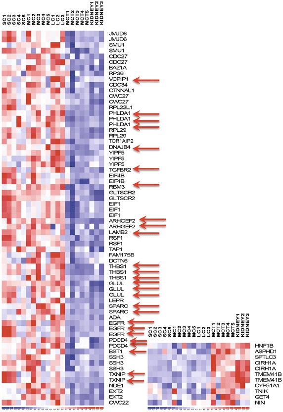 Fig. 3