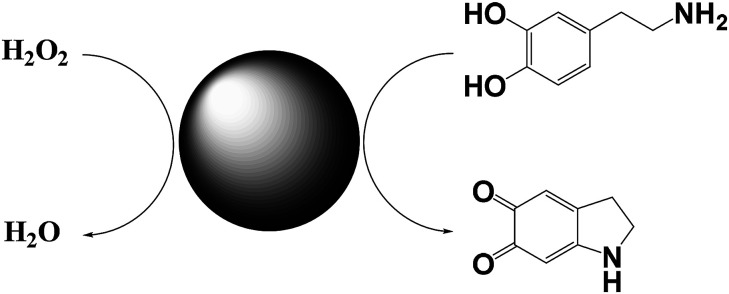 Scheme 4