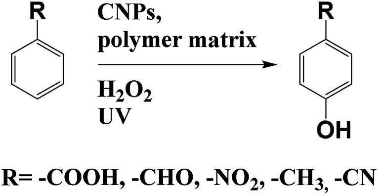 Scheme 3