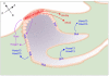 Fig. 7.