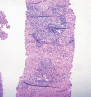 Fig. 1: