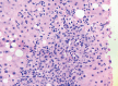 Fig. 2: